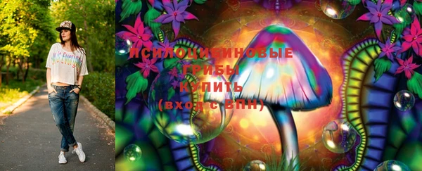 прущие грибы Кукмор