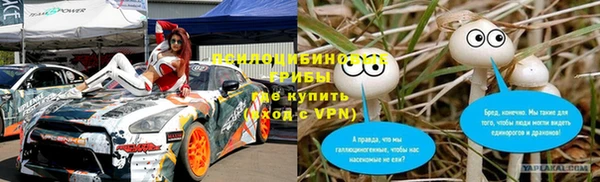дурь Лиски